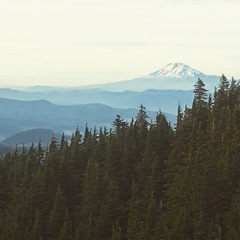 You can see Mt Adams in the distance.