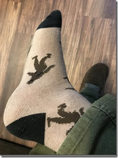 Shaan's Bigfoot Socks today