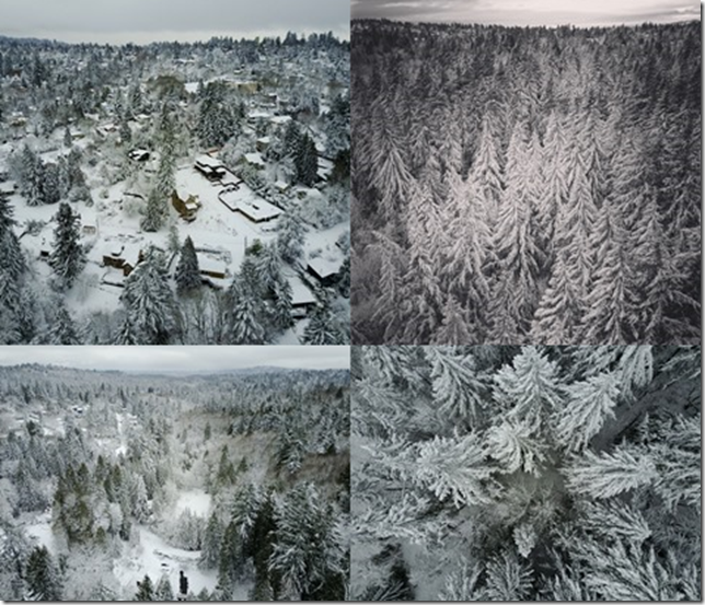 Portland Winter Wonderland