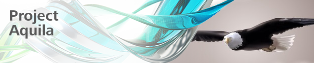 Aquila_banner_2013_layers