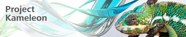 Kameleon_banner_2015_layers