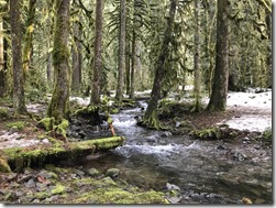 Salmon-Huckleberry Wilderness