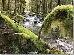 Salmon-Huckleberry Wilderness