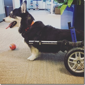 Jackson viiting the office.