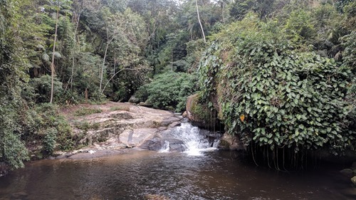 A pool near Paraty