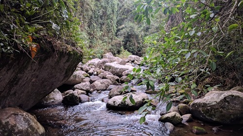 The Pedra Branca river