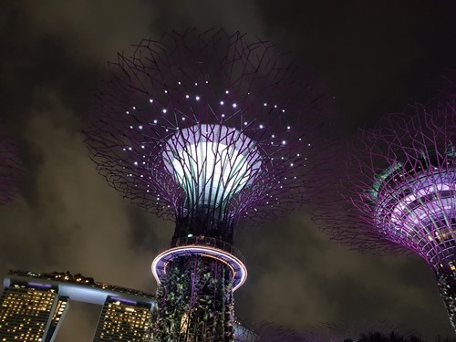 The super-trees at Gardens by the Bay