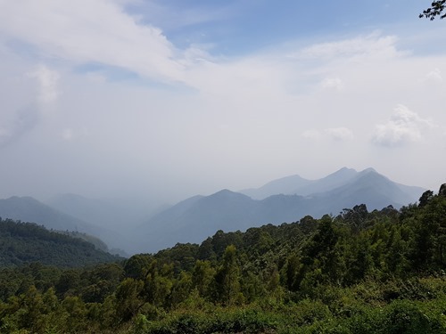 The view from Coaker's Walk