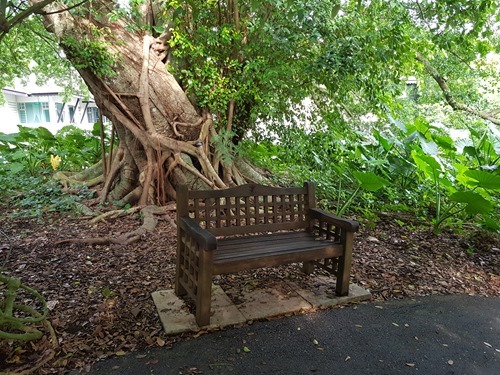 A bench in the Botanical Gardens