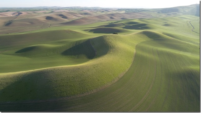 the Palouse