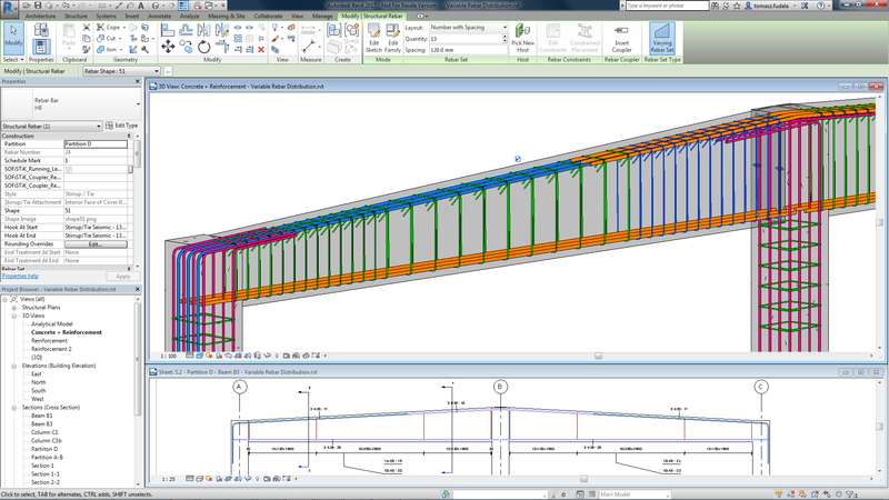 Variable Rebar Distribution