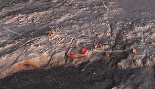 A representation of the Naachtun, Petén archaeological site, created by LiDAR data. (Image courtesy of Auld-Thomas and M. A. Canuto, 2018.)