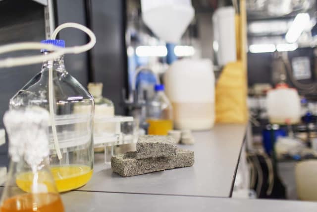 Shown are the various stages of bio-brick creation, from liquid urine to rock-solid brick. (Image courtesy of University of Cape Town.)