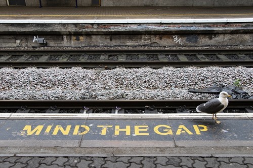 Fill the gap in your platform knowledge