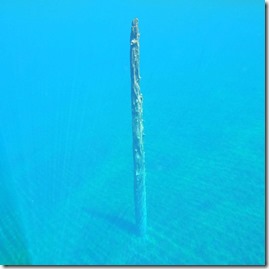 Submerged Ghosts of Clear Lake