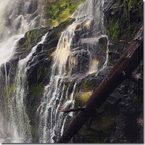 Proxy Falls