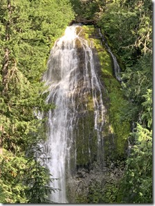 Proxy Falls