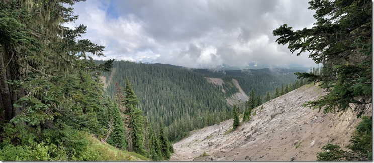 Timberline to Paradise Park Trail