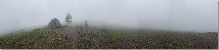 Timberline to Paradise Park Trail