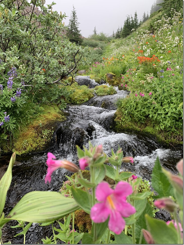 Timberline Trail