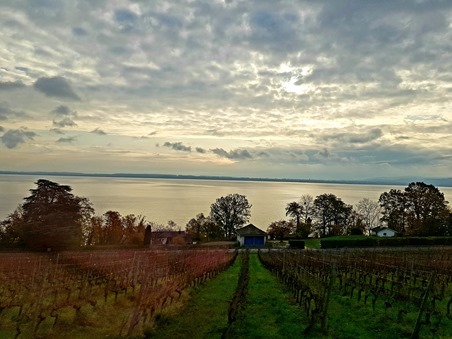 View from the train