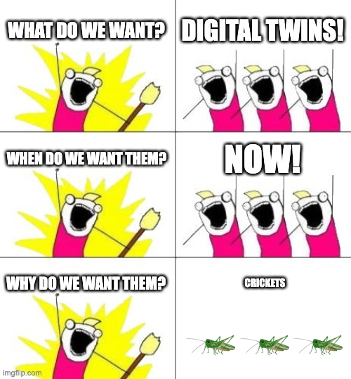 Digital Twin crickets